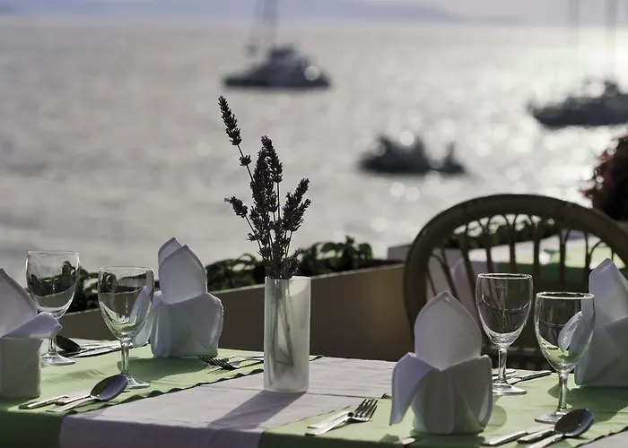 Dalmacija Hvar Otel 3*